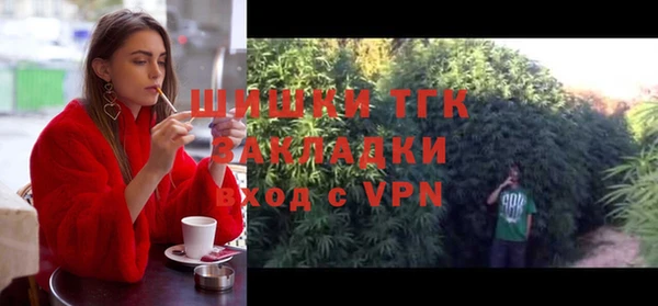 мет Алексин