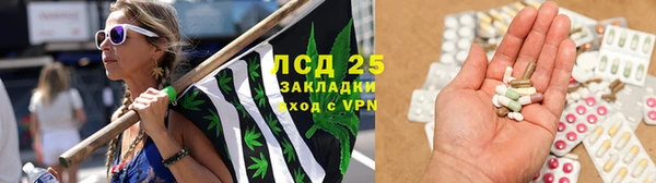 мет Алексин