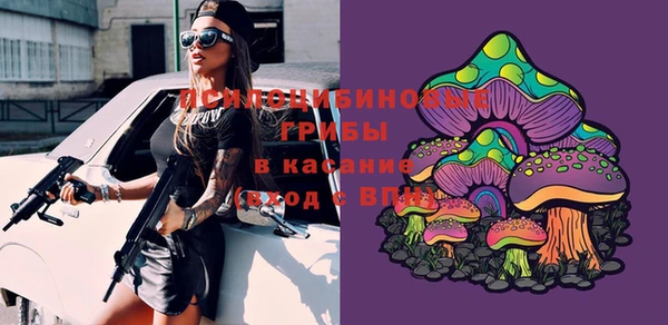 твердый Протвино