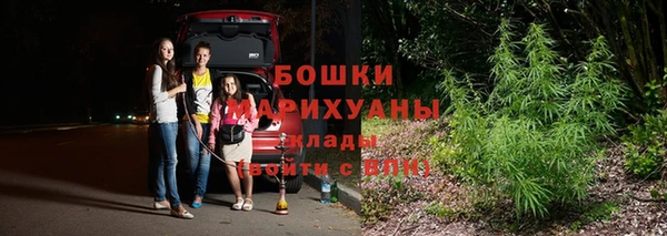 мет Алексин