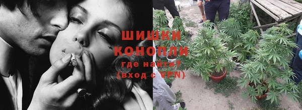 шишки Алексеевка