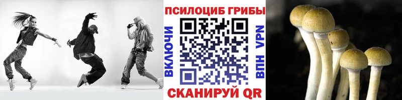 Псилоцибиновые грибы MAGIC MUSHROOMS  omg маркетплейс  Дудинка 